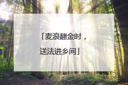 麦浪翻金时，送法进乡间