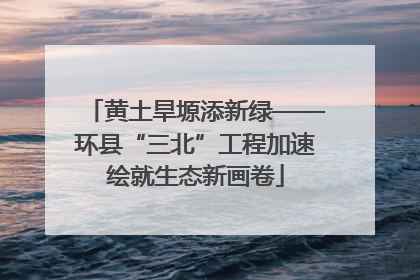 黄土旱塬添新绿——环县“三北”工程加速绘就生态新画卷