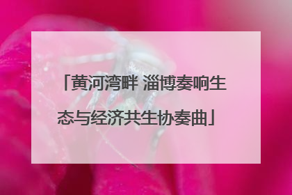 黄河湾畔 淄博奏响生态与经济共生协奏曲