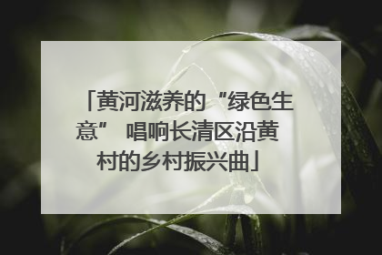 黄河滋养的“绿色生意” 唱响长清区沿黄村的乡村振兴曲