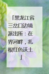 黑龙江省三岔口边境派出所：在界河畔，扎根红色沃土