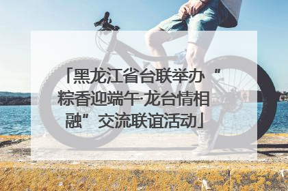 黑龙江省台联举办“粽香迎端午·龙台情相融”交流联谊活动