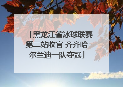 黑龙江省冰球联赛第二站收官 齐齐哈尔兰迪一队夺冠