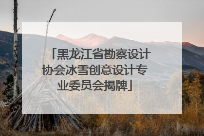 黑龙江省勘察设计协会冰雪创意设计专业委员会揭牌