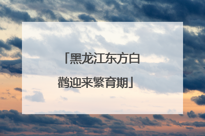 黑龙江东方白鹳迎来繁育期