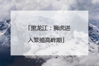 黑龙江：狮虎进入繁殖高峰期