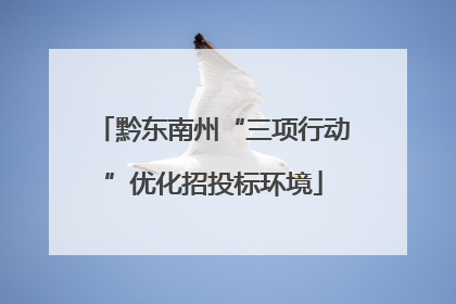黔东南州“三项行动”优化招投标环境