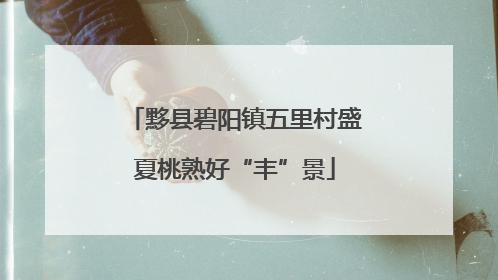 黟县碧阳镇五里村盛夏桃熟好“丰”景