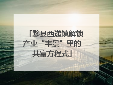 黟县西递镇解锁产业“丰景”里的共富方程式