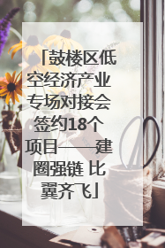 鼓楼区低空经济产业专场对接会签约18个项目——建圈强链 比翼齐飞