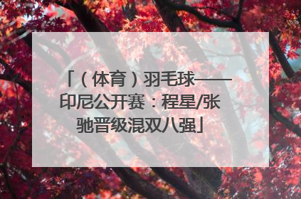 （体育）羽毛球——印尼公开赛：程星/张驰晋级混双八强