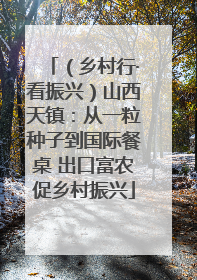 （乡村行·看振兴）山西天镇：从一粒种子到国际餐桌 出口富农促乡村振兴