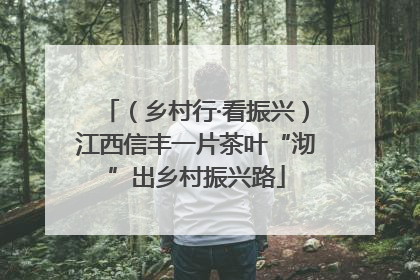 （乡村行·看振兴）江西信丰一片茶叶“沏”出乡村振兴路