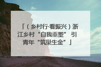 （乡村行·看振兴）浙江乡村“自我重塑” 引青年“筑巢生金”