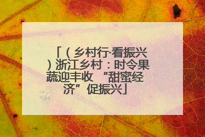 （乡村行·看振兴）浙江乡村：时令果蔬迎丰收 “甜蜜经济”促振兴