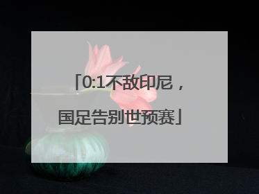 0:1不敌印尼，国足告别世预赛