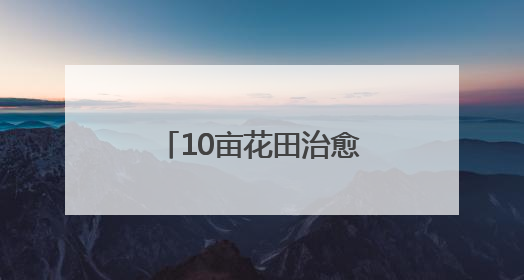 10亩花田治愈3000公里孤独，广水独眼小伙与他的“无尽夏”