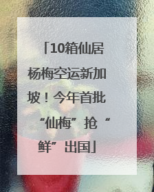 10箱仙居杨梅空运新加坡！今年首批“仙梅”抢“鲜”出国