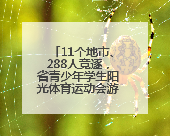 11个地市、288人竞逐，省青少年学生阳光体育运动会游泳比赛开赛