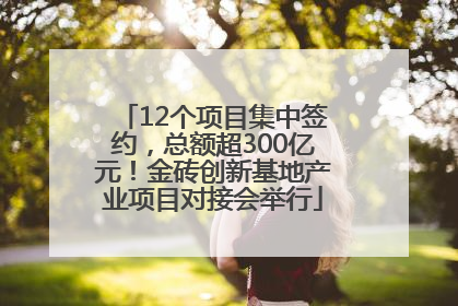 12个项目集中签约，总额超300亿元！金砖创新基地产业项目对接会举行