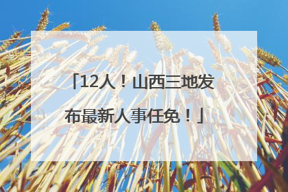 12人！山西三地发布最新人事任免！