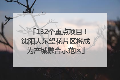 132个重点项目！沈阳大东望花片区将成为产城融合示范区