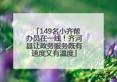 149名小齐帮办员在一线！齐河县让政务服务既有速度又有温度