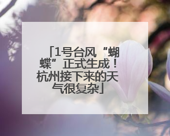 1号台风“蝴蝶”正式生成！杭州接下来的天气很复杂