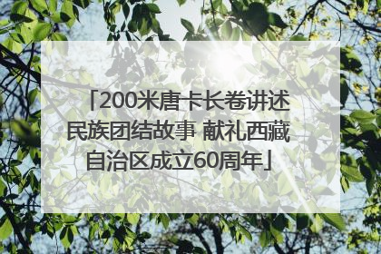 200米唐卡长卷讲述民族团结故事 献礼西藏自治区成立60周年