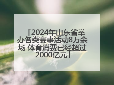 2024年山东省举办各类赛事活动8万余场 体育消费已经超过2000亿元