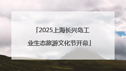 2025上海长兴岛工业生态旅游文化节开幕
