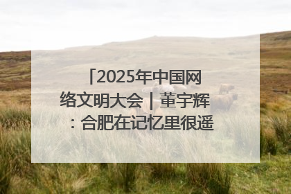 2025年中国网络文明大会｜董宇辉：合肥在记忆里很遥远也很亲切