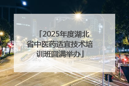 2025年度湖北省中医药适宜技术培训班圆满举办