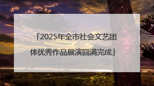 2025年全市社会文艺团体优秀作品展演圆满完成
