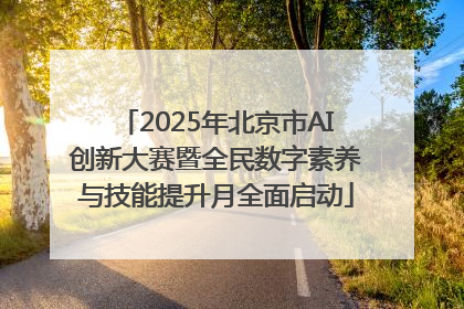 2025年北京市AI创新大赛暨全民数字素养与技能提升月全面启动