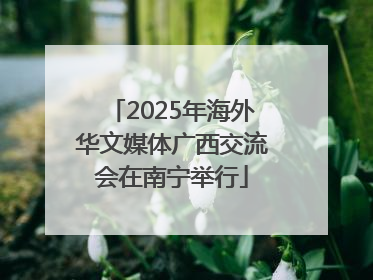 2025年海外华文媒体广西交流会在南宁举行