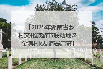 2025年湖南省乡村文化旅游节联动地暨金洞村k友谊赛启幕