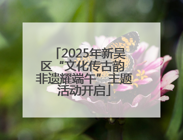 2025年新吴区“文化传古韵 非遗耀端午”主题活动开启