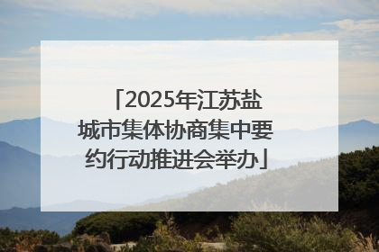 2025年江苏盐城市集体协商集中要约行动推进会举办