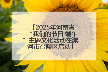 2025年河南省“我们的节日·端午”主题文化活动在漯河市召陵区启动