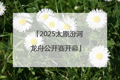 2025太原汾河龙舟公开赛开幕