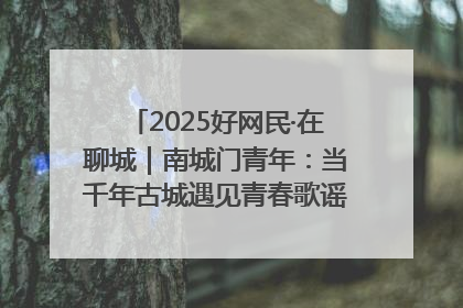 2025好网民·在聊城｜南城门青年：当千年古城遇见青春歌谣 一湖碧水见证的“聊城式浪漫”