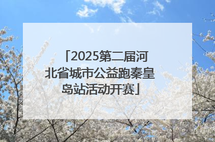 2025第二届河北省城市公益跑秦皇岛站活动开赛