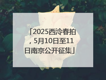 2025西泠春拍，5月10日至11日南京公开征集