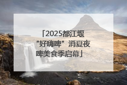 2025都江堰“好嗨啤”消夏夜啤美食季启幕
