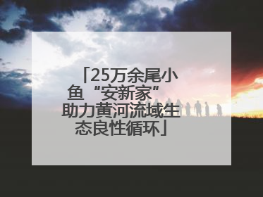 25万余尾小鱼“安新家” 助力黄河流域生态良性循环