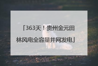 363天！贵州金元田林风电全容量并网发电