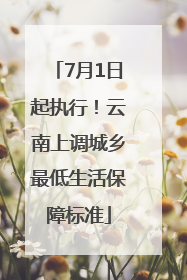 7月1日起执行！云南上调城乡最低生活保障标准