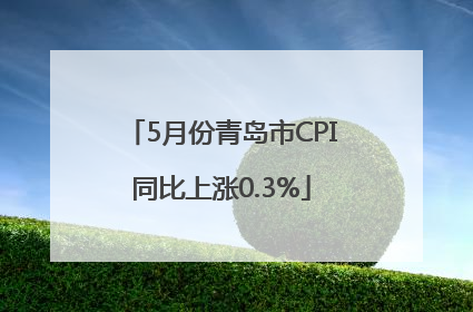 5月份青岛市CPI同比上涨0.3%