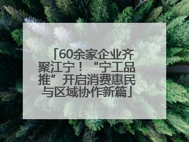 60余家企业齐聚江宁！“宁工品推”开启消费惠民与区域协作新篇